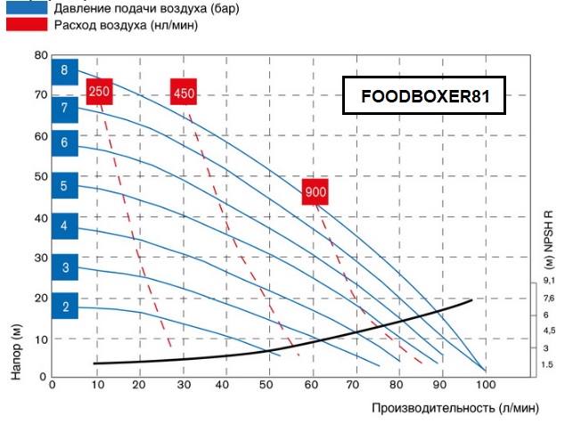 FOODBOXER81-graph